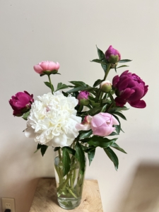 芍薬の花