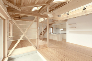 大きな屋根の家
